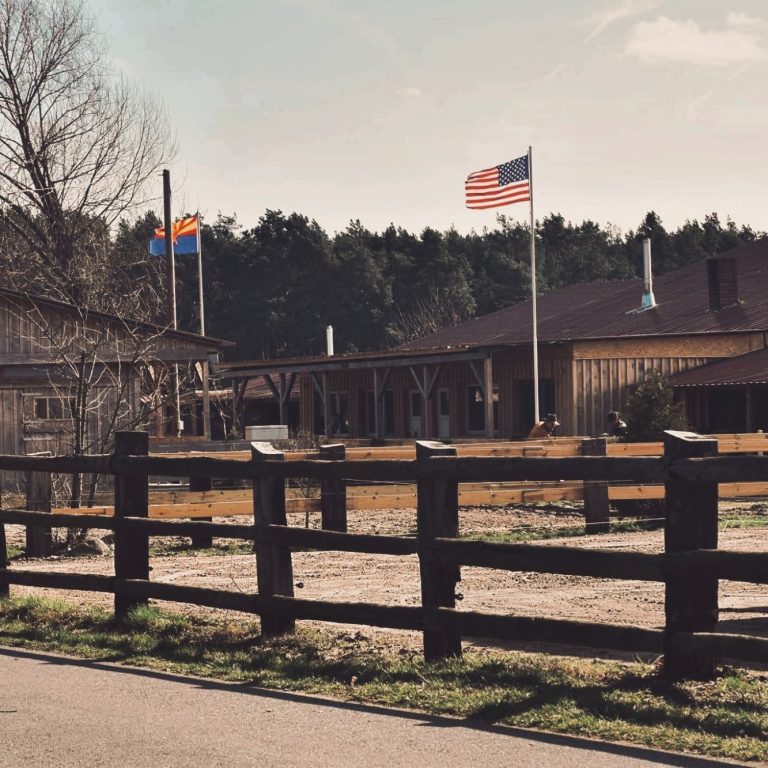 Westernranch Kolkwitz Wiesendorf Western Ranch Quarter und Paint Horse in Kolkwitz Wiesendorf